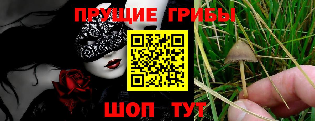 Меф МЯУ МЯУ   Гашиш  Каннабис  Трёхгорный  Экстази  МДМА  Конопля  Вход с VPN  КОКАИН 